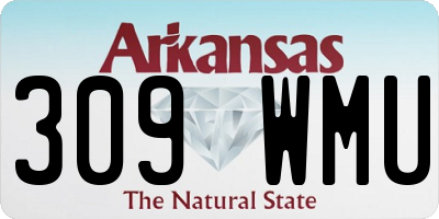 AR license plate 309WMU