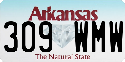 AR license plate 309WMW