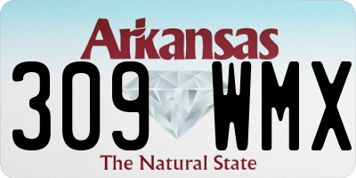 AR license plate 309WMX