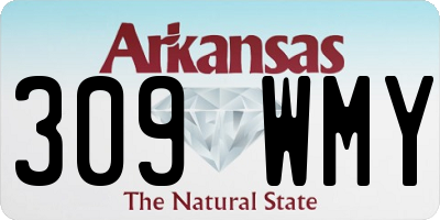 AR license plate 309WMY