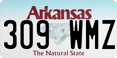 AR license plate 309WMZ