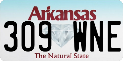 AR license plate 309WNE