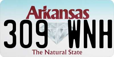 AR license plate 309WNH