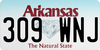 AR license plate 309WNJ