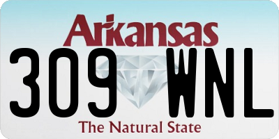 AR license plate 309WNL