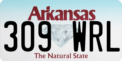 AR license plate 309WRL