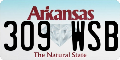 AR license plate 309WSB