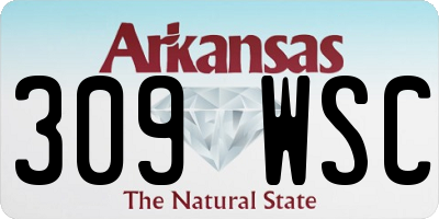 AR license plate 309WSC