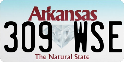 AR license plate 309WSE