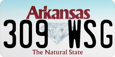 AR license plate 309WSG