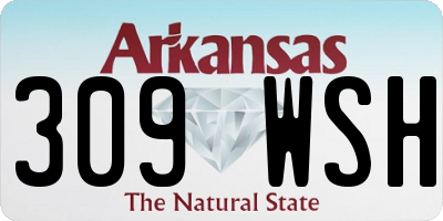 AR license plate 309WSH