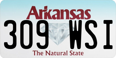 AR license plate 309WSI