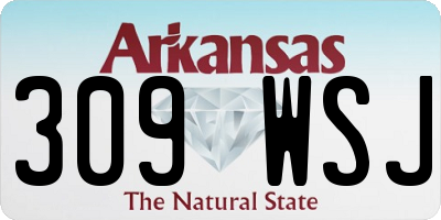 AR license plate 309WSJ