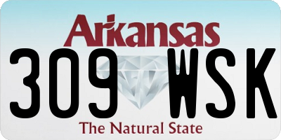 AR license plate 309WSK