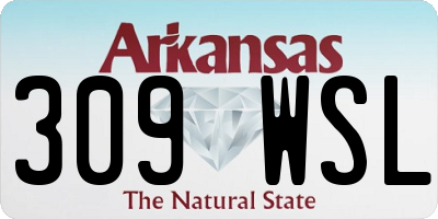 AR license plate 309WSL