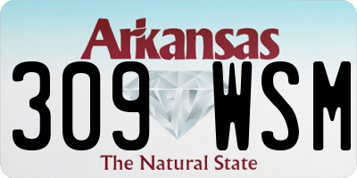 AR license plate 309WSM