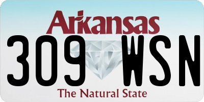 AR license plate 309WSN