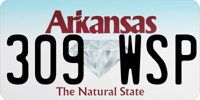 AR license plate 309WSP