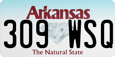 AR license plate 309WSQ