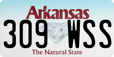 AR license plate 309WSS