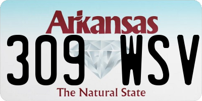 AR license plate 309WSV