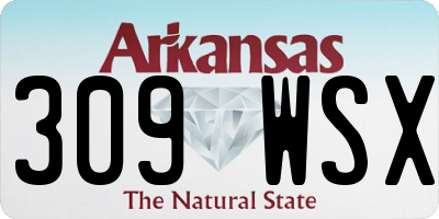 AR license plate 309WSX