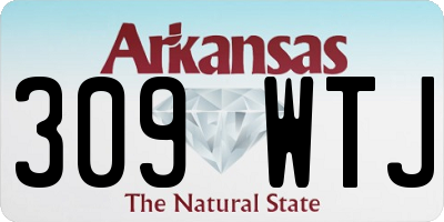 AR license plate 309WTJ