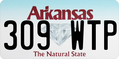 AR license plate 309WTP