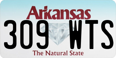 AR license plate 309WTS