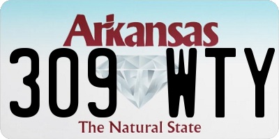 AR license plate 309WTY