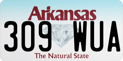 AR license plate 309WUA