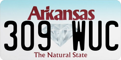 AR license plate 309WUC