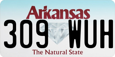 AR license plate 309WUH