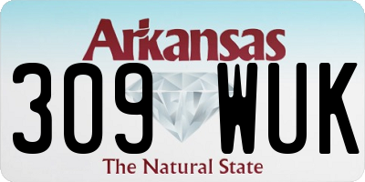 AR license plate 309WUK