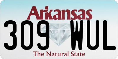 AR license plate 309WUL