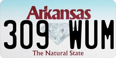 AR license plate 309WUM