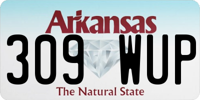 AR license plate 309WUP