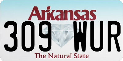 AR license plate 309WUR