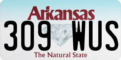 AR license plate 309WUS