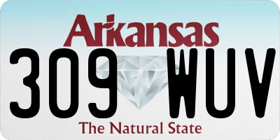 AR license plate 309WUV