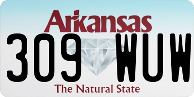 AR license plate 309WUW