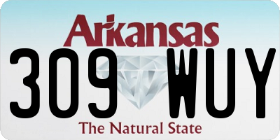 AR license plate 309WUY
