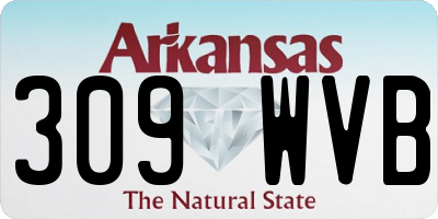 AR license plate 309WVB