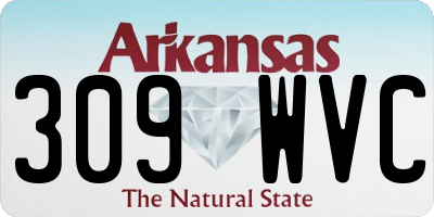 AR license plate 309WVC