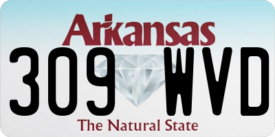 AR license plate 309WVD