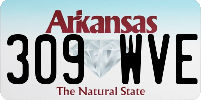 AR license plate 309WVE
