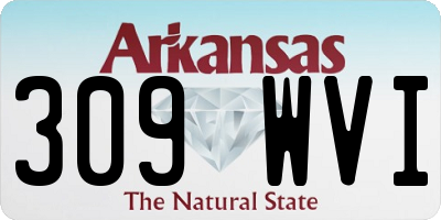 AR license plate 309WVI