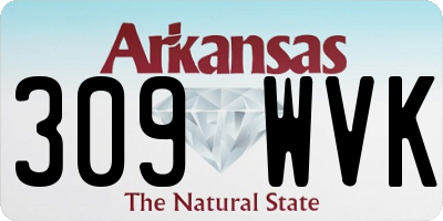 AR license plate 309WVK