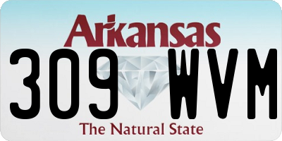 AR license plate 309WVM