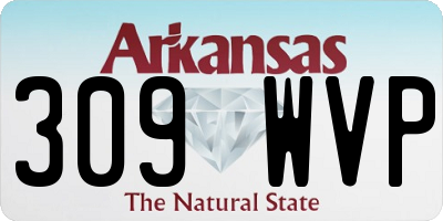 AR license plate 309WVP